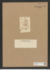 Auliscus elegans Grev. (de-Toni-Nr.: Genus 171, Species 4330) Zeichnungen Sammlung Grunow Nr. 7898 (NHMW-BOT-W0377166)